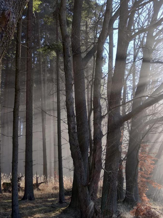 Penzion Adrspach " U Kozaru " Hotell Teplice nad Metují Exteriör bild