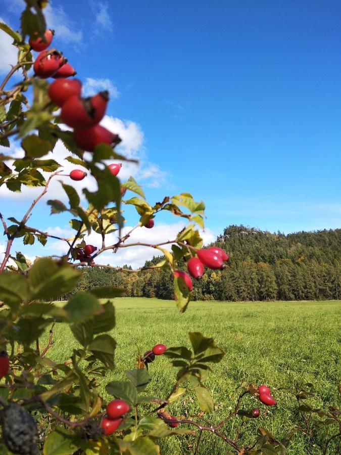 Penzion Adrspach " U Kozaru " Hotell Teplice nad Metují Exteriör bild